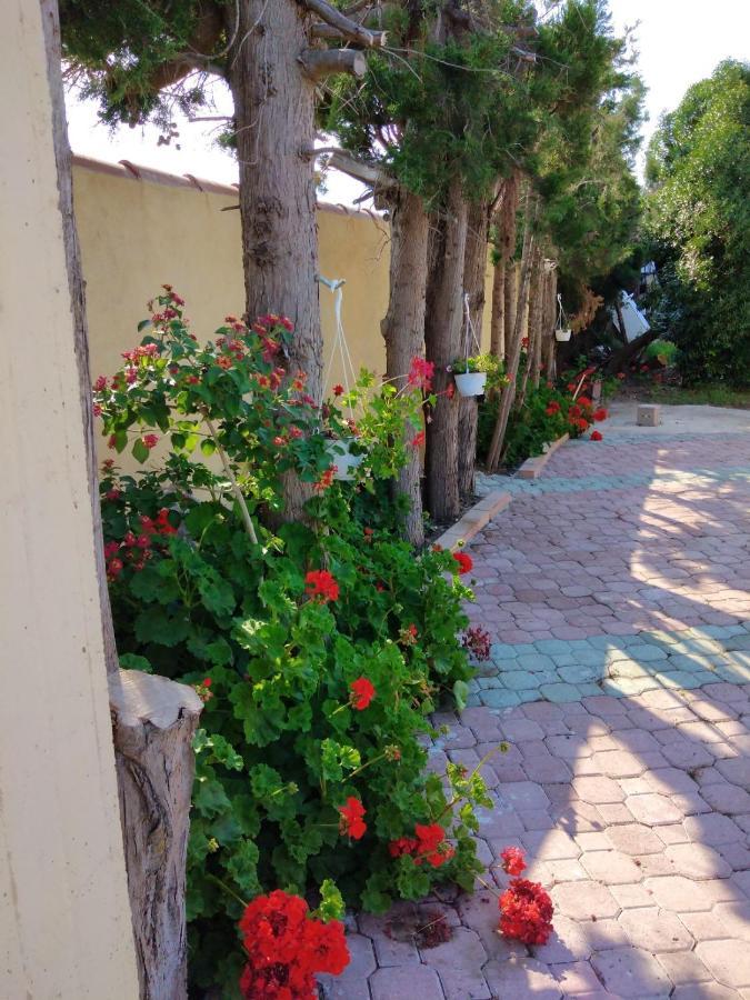 Appartamento In Orosei In Villa Delle Arance 300Mt Dalla Spiaggia Exterior photo
